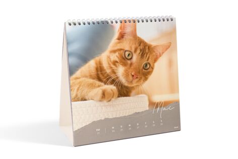 Ukekalender, kvadratisk - med egne bilder